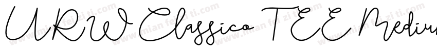 URW Classico T EE Medium字体转换